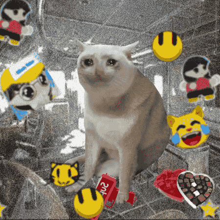A shocked-looking cat sits amid a collage of smiley faces, anime characters, and a heart-shaped chocolate box, with a pack of "CASH" candy at its feet, playfully illustrating the post's claim that "Cash cats are the next BAYC." The meme-like editing and absurd mix of stickers evokes the chaotic, collectible vibe of Bored Ape Yacht Club-style NFT culture.