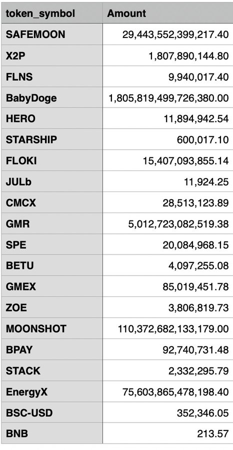 A table listing cryptocurrency token symbols and amounts, including SAFEMOON (29,443,552,399,217.40), X2P, FLNS, BabyDoge (1,805,819,499,726,380.00), HERO, STARSHIP, FLOKI (15,407,093,855.14), JULb, CMCX, GMR, SPE, BETU, GMEX, ZOE, MOONSHOT (110,372,682,133,179.00), BPAY, STACK, EnergyX, BSC-USD, and BNB.