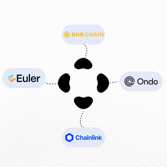 A diagram showing four cryptocurrency and blockchain logos—BNB Chain, Ondo, Chainlink, and Euler—connected by dashed lines to a central abstract black shape.
