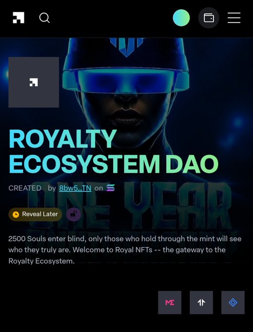 A mobile app screenshot features 'ROYALTY ECOSYSTEM DAO', created by 8bw5_TN on Solana, describing a collection of 2,500 Souls entering blind.