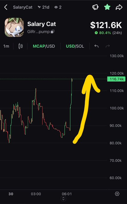 A trading chart shows 'Salary Cat' (GiRr...pump) reaching $121.6K with an 80.4% 24-hour gain, highlighted by a large yellow upward arrow.