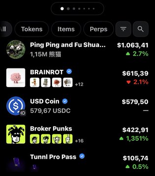 A screenshot of a crypto wallet portfolio displays tokens including "Ping Ping and Fu Shua..." at $1,063.41, "BRAINROT" at $615.39, and "USD Coin" at $579.50, along with NFT collections featuring "Broker Punks" (+16, valued at $422.91) and "Tunnl Pro Pass" ($105.74). The image visually supports the post's claim about acquiring 16 Broker Punks NFTs at a low cost, showing the collection's holdings and the staking-related value context.