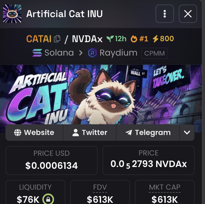 A screenshot of the Raydium DEX listing for the token "Artificial Cat INU" (ticker CATAI) on Solana, showing a price of $0.0006134, $76K liquidity, and $613K FDV/Market Cap, supporting the post's claim about a potential low-cap gem on the Solana network.
