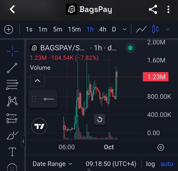A TradingView chart showing the BAGSPAY token on a 1-hour timeframe, displaying a current volume of 1.23M, down 7.82% (-104.54K).