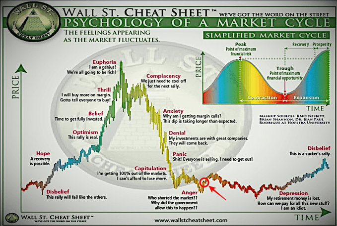The image is a "Wall St. Cheat Sheet" infographic titled "Psychology of a Market Cycle," showing the emotional stages investors experience during market fluctuations, from disbelief and hope through euphoria, then down through anxiety, denial, panic, anger, depression, and back to disbelief. The caption notes the market is near the "Euphoria" phase with quotes like "I am a genius! We're all going to be rich!" — aligning with the post's implication that crypto is at a peak bubble stage driven by irrational exuberance.