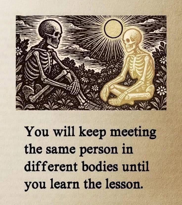 An artistic illustration of two skeletons sitting facing each other in a field of flowers under a sun, with the text: 'You will keep meeting the same person in different bodies until you learn the lesson.'
