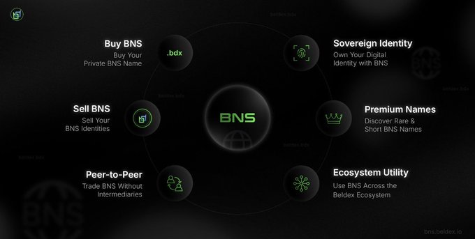 A dark website landing page for BNS (Beldex Name Service) displays a circular feature diagram with sections for Buy BNS, Sell BNS, Peer-to-Peer trading, Sovereign Identity, Premium Names, and Ecosystem Utility at bns.beldex.io.