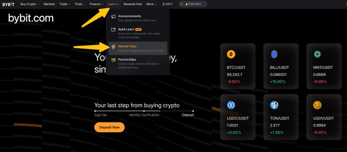 A screenshot of bybit.com showing the Learn menu with options like Announcements, Bybit Learn, and Market Pulse, along with crypto prices for BTC, BILL, MNT, USDC, TON, and USD.