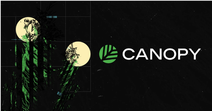 A graphic featuring the word 'CANOPY' next to a green leaf logo, with an illustration of glowing green trees on a black background.