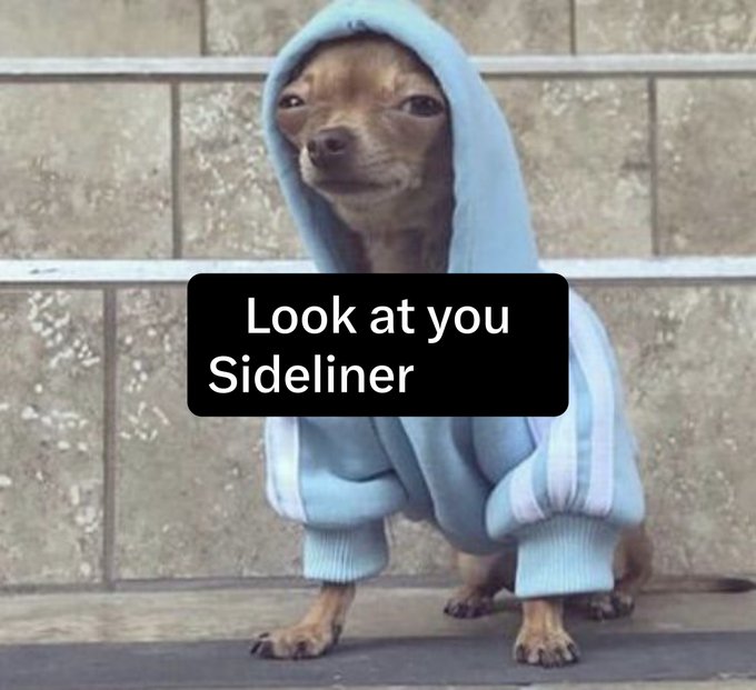 A meme showing a small brown dog wearing a light blue hoodie with the caption 'Look at you Sideliner'.