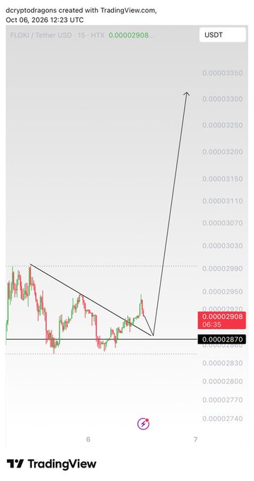 A TradingView chart of FLOKI/Tether USD shows a falling wedge pattern with an upward breakout arrow pointing to a target around 0.00003350, with current price highlighted at 0.00002908.