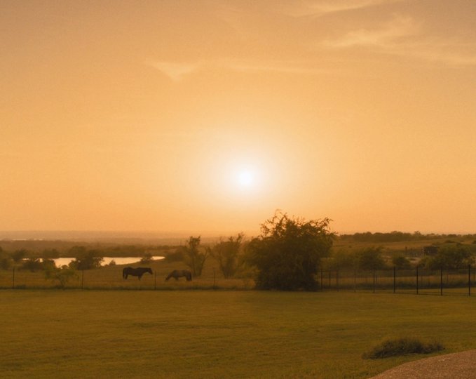 A serene landscape photograph at sunset or sunrise, featuring two horses grazing in a green field with a tree, fence, and a body of water in the background under an orange sky.