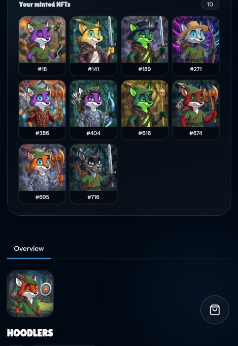 A digital NFT collection display titled 'Your minted NFTs' showing 10 fox warrior characters with various outfits and weapons, each numbered (e.g., #18, #141, #189). An overview section below shows a 'HOODLERS' character.