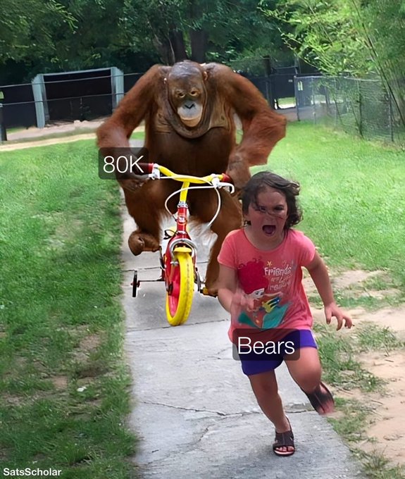 A young girl in a pink 'Friends' shirt runs screaming down a path while being chased by an orangutan riding a yellow children's bike, with overlaid text reading '80K' and 'Bears', and a 'SatsScholar' watermark.