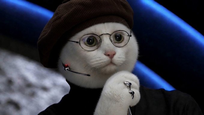 A white cat wearing a brown beret, round glasses, and a headset with a microphone, posing thoughtfully with its paw near its chin. The image appears to convey a serious, intellectual demeanor, fitting the post's message about getting things started with POW on Robinhood.