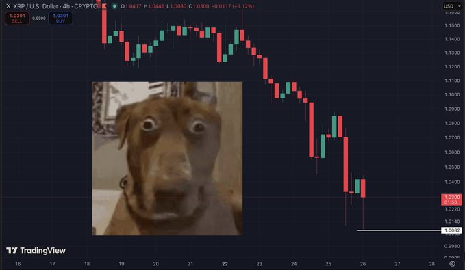 A TradingView 4-hour candlestick chart for XRP/USD shows the cryptocurrency in a sharp downtrend from around $1.17 to $1.03 (-1.12%), nearly breaching the key $1.00 support level, paired with the popular "shocked dog" meme reflecting disbelief at the price drop.