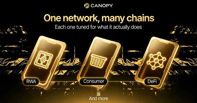 A dark promotional graphic for Canopy network displays the tagline 'One network, many chains' with three glowing gold cards labeled RWA, Consumer, and DeFi floating above a landscape background.
