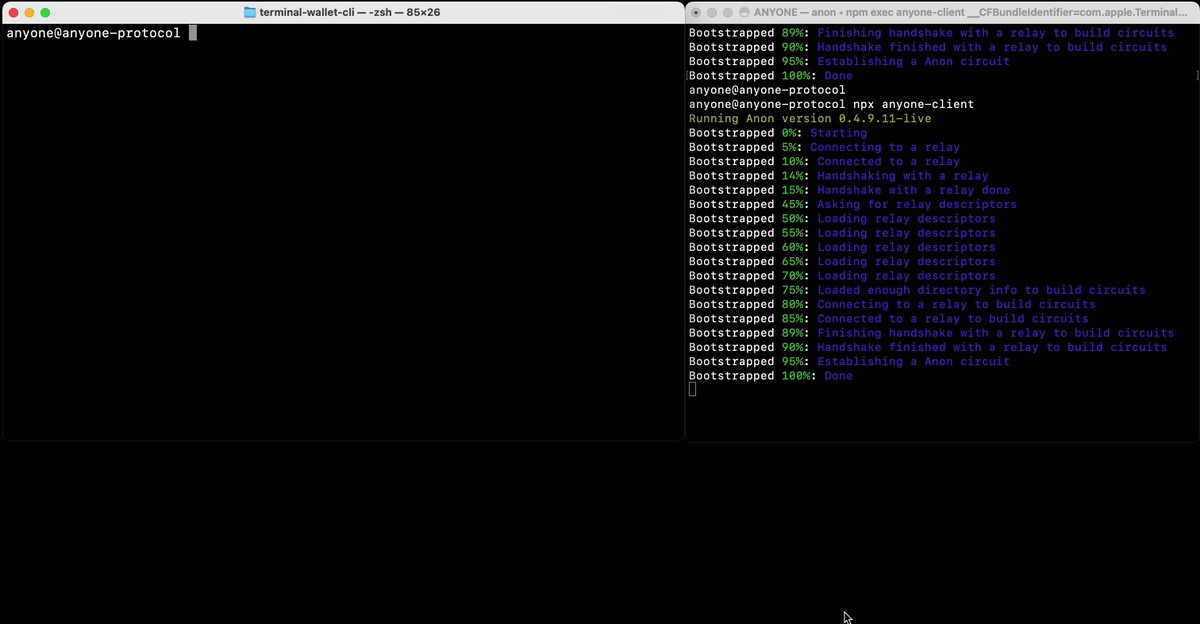 The image shows a computer screen with a web browser open, displaying a webpage about using the Anyone client and proxy for anonymity. The text on the page suggests that this feature can be used for anonymous transactions or accessing certain websites without revealing personal information. This anonymity is achieved by using a terminal-based wallet like Railway, which allows users to access their funds through a secure online portal.