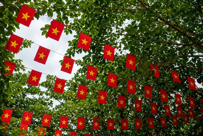 Multiple Vietnamese flags, red with a single yellow star, hang in rows on strings tied between leafy tree branches beneath a partly cloudy sky.

The image shows Vietnamese national flags strung up among green tree branches, but it appears unrelated to the accompanying post about Vietnam's crypto market pilot, as the scene simply depicts decorative national flags rather than any text, numbers, or imagery related to tokenized assets or licensed exchanges.