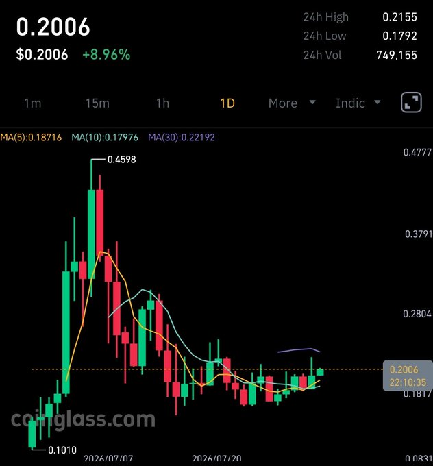 A candlestick price chart from Coinglass showing a cryptocurrency at $0.2006 (+8.96%), with a 24-hour high of 0.2155 and low of 0.1792, displaying a peak at $0.4598 before declining.
