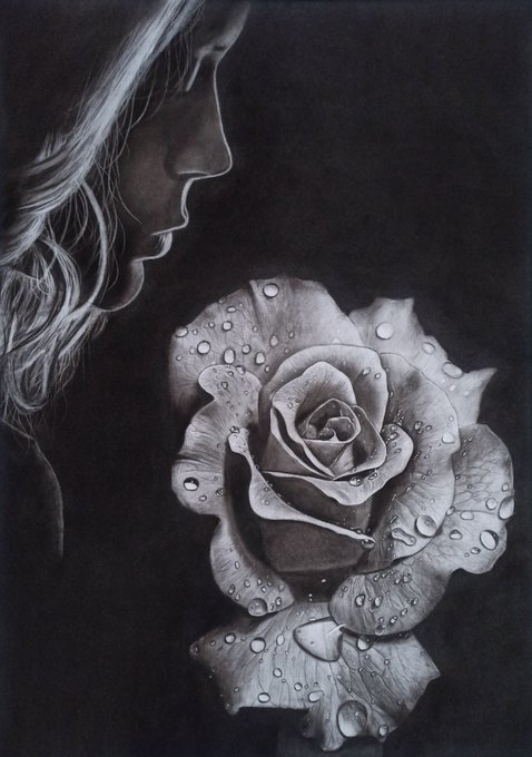 A detailed pencil drawing shows the profile of a woman gazing at a rose covered in dewdrops against a black background.