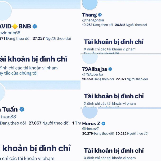 A collage of Twitter/X profiles shows several large Vietnamese crypto influencer accounts—including "avidbnb68" (37K followers), "@thang0nton" (26.8K), "@79Aliba_ba" (22K), "@.tuann88" (27K), and "@Horusz" (30.2K)—all displaying "Tài khoản bị định chỉ" (Suspended Account) banners, illustrating the post's theme of X aggressively suspending major Vietnamese crypto KOL accounts amid new rules against shilling coins.