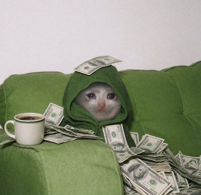 A meme image showing a sad cat wrapped in a green blanket on a couch, covered in dollar bills with a coffee mug nearby.