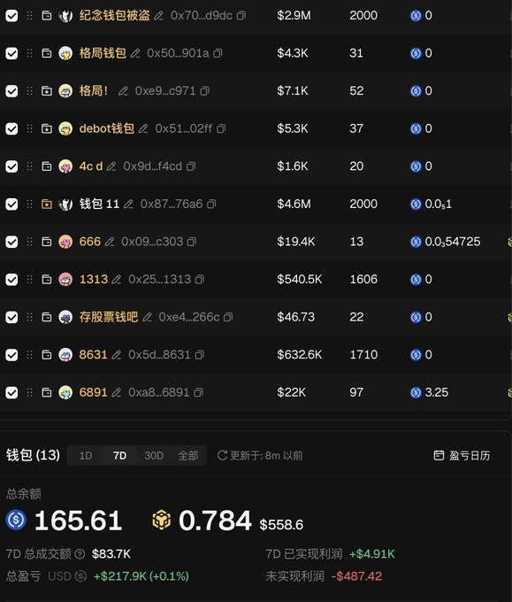 A dark-themed crypto wallet tracking dashboard displays 13 wallet addresses with their holdings, showing that the user has been liquidated down to 165.61 USDT total ($165.61 with 0.784 BNB worth $558.6), resulting in a 7-day realized loss of -$4.91K, an unrealized loss of -$487.42, and a total profit/loss of +$217.9K (+0.1%), illustrating the aftermath of being wiped out after a year of rebuilding from 0.3 BNB only to have a debot unexpectedly transfer assets out again.