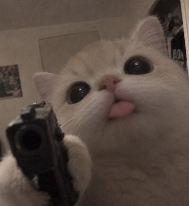 A close-up of a wide-eyed orange and white cat holding a black toy gun in its paws with its tongue sticking out.