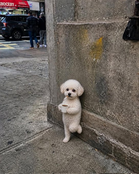 A small white fluffy dog stands on its hind legs against a stone building corner on a city street, holding a tiny coffee cup with its paw.