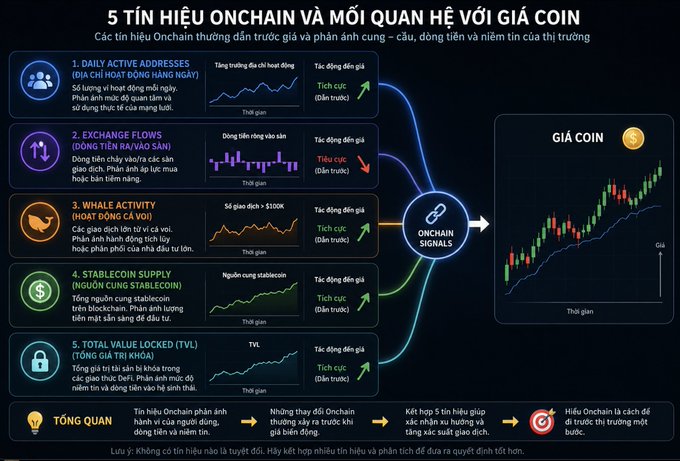 An infographic titled '5 TÍN HIỆU ONCHAIN VÀ MỐI QUAN HỆ VỚI GIÁ COIN' showing five on-chain signals—Daily Active Addresses, Exchange Flows, Whale Activity, Stablecoin Supply, and Total Value Locked (TVL)—and their typical bullish or bearish impact on coin price.