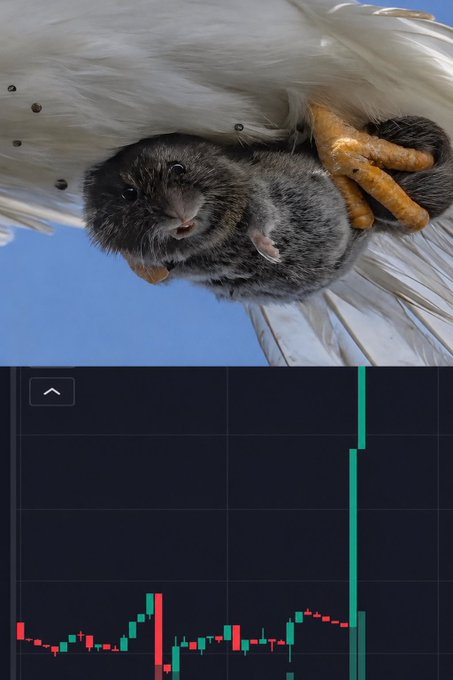 A composite image showing a close-up photograph of a small mouse/rat being carried in the talons of a white bird (likely an egret) against a blue sky, paired below with a dark candlestick trading chart featuring red and green bars with a sharp price spike.