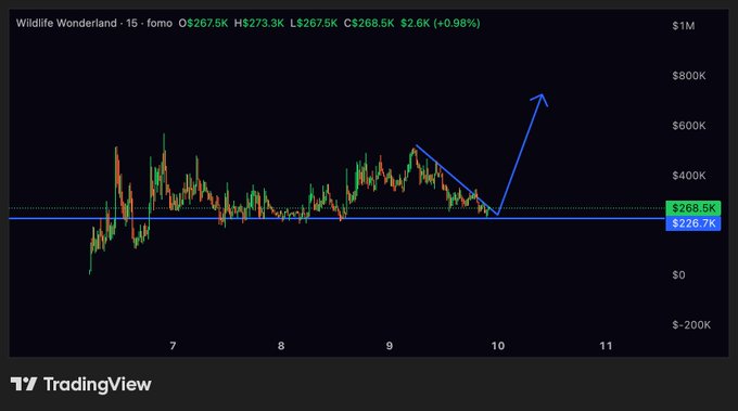 A TradingView chart of "Wildlife Wonderland" ($WW) on a 15-minute timeframe shows the price consolidating around $268.5K ($267.5K) with an annotated blue arrow projecting a breakout upward toward $1M, visually supporting the post's bullish thesis. The drawn ascending pattern and large projected move illustrate the poster's expectation of a major rally for this donated.gg charity token aimed at funding an animal rescue sanctuary.