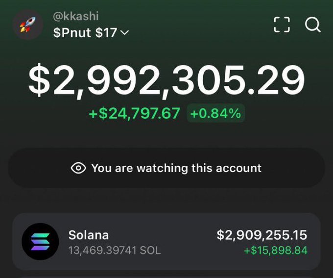 A screenshot of the crypto tracking app showing user @kkashi's portfolio "$Pnut $17" valued at $2,992,305.29 (up $24,797.67 or +0.84%), with a notable holding of 13,469.39741 SOL worth $2,909,255.15—visually supporting the claim of turning $17 into $3M in just 3 days.