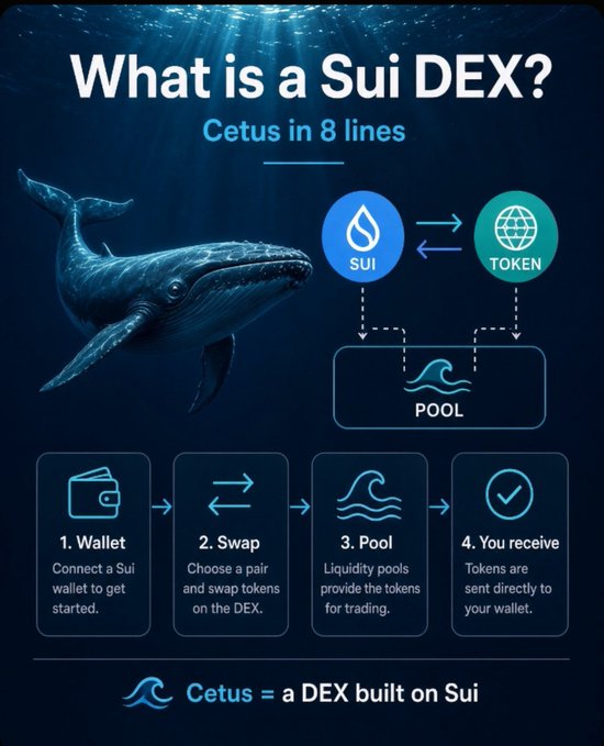 Infographic titled 'What is a Sui DEX? Cetus in 8 lines' featuring a whale image, explaining how Cetus works as a DEX built on Sui with 4 steps: Wallet, Swap, Pool, and You receive.
