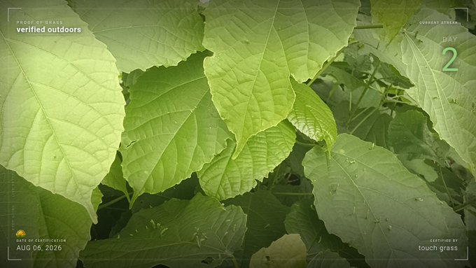 Camera viewfinder-style overlay showing green leaves with 'verified outdoors' badge, date stamp AUG 06, 2020, 'CURRENT STREAM DAY 2', and caption 'touch grass'.