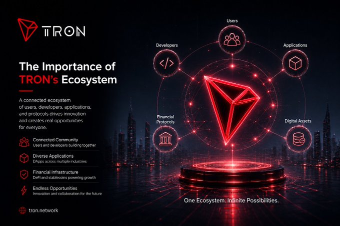 A dark promotional graphic featuring the TRON logo and title "The Importance of TRON's Ecosystem," showcasing a glowing red TRON crystal emblem at the center surrounded by connected icons representing Users, Developers, Applications, Financial Protocols, and Digital Assets, with key points highlighting Connected Community, Diverse Applications, Financial Infrastructure, and Endless Opportunities (tron.network). The image visually reinforces the post's message by illustrating how TRON unifies users, developers, applications, and protocols within a single interconnected blockchain ecosystem.