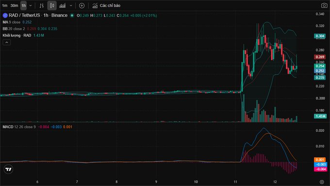 A candlestick trading chart from Binance showing the RAD/TetherUS pair with a significant price spike to $0.304 and subsequent decline.