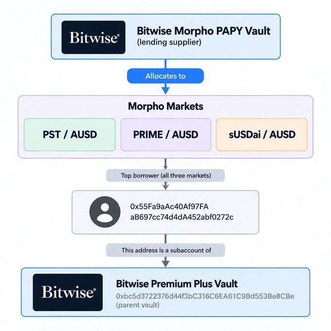 A flowchart diagram showing how the Bitwise Morpho PAPY Vault (lending supplier) allocates funds to three Morpho Markets (PST/AUSD, PRIME/AUSD, sUSDai/AUSD), with the top borrower address identified as a subaccount of the Bitwise Premium Plus Vault.