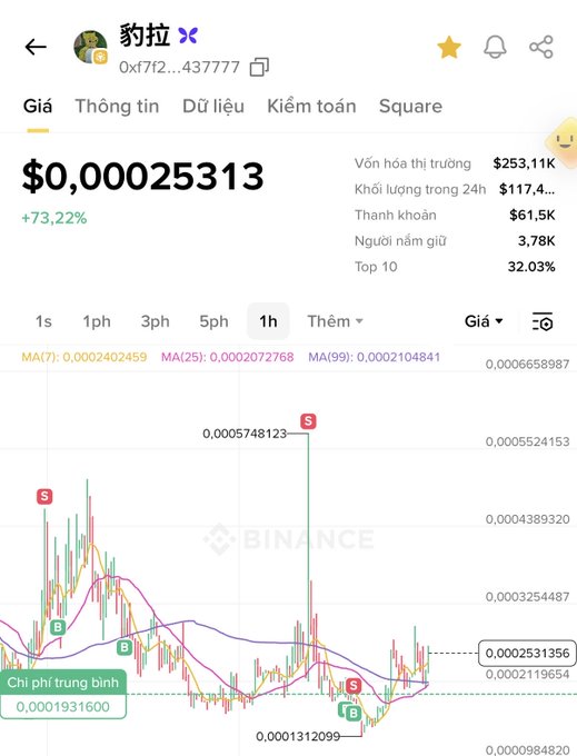 A screenshot of a cryptocurrency trading app on Binance displaying the token "豹拉" with a price of $0,00025313, showing a 73.22% increase and various market statistics in Vietnamese.