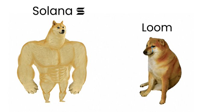 A meme comparing two cryptocurrencies: a muscular 'Swole Doge' labeled 'Solana' with the SOL symbol is contrasted against a crying, weaker Shiba Inu labeled 'Loom'.