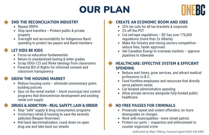 The image displays the "OneBC" campaign platform under the header "OUR PLAN," outlining policy priorities in two columns covering issues like ending the reconciliation industry, child welfare, housing affordability, public safety, economic growth, healthcare, and law enforcement. Key proposals include repealing DRIPA, eliminating the PST, cutting over 176,000 red-tape regulations, and addressing drugs and crime—aligning with the post's description of a common-sense plan to get British Columbia back on track.