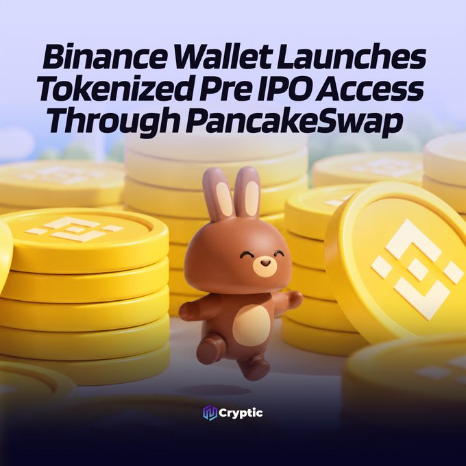 The image shows a cheerful cartoon brown bunny mascot standing among stacks of gold Binance-branded coins, with the headline "Binance Wallet Launches Tokenized Pre IPO Access Through PancakeSwap" displayed at the top and a "Cryptic" logo at the bottom, visually reinforcing the announcement of Binance Wallet's new pre-IPO tokenized investment campaigns via PancakeSwap with self-custody features.