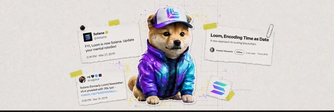A digital collage features a Shiba Inu dog wearing a holographic purple and blue jacket and a Solana hat, surrounded by pinned tweets from the Solana account about Loom and FYI.