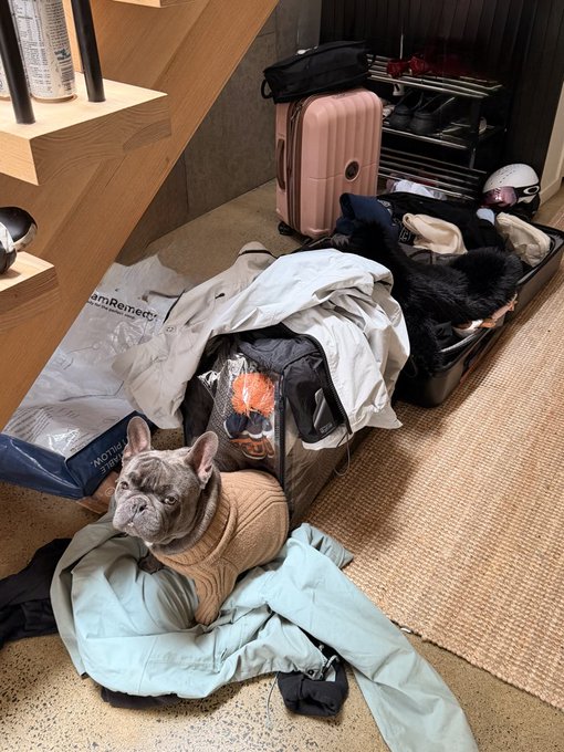 A French bulldog sits on a pile of clothes and an open suitcase on a rug, surrounded by scattered luggage and a pink suitcase in the background, apparently mid-packing.
