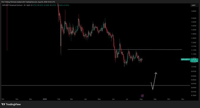 The image displays a TradingView daily candlestick chart of XRP/USD with white annotation arrows pointing downward toward the 0.8700-0.8800 support zone before potentially reversing upward, visually reinforcing the post's bearish prediction of "new lows before new highs."