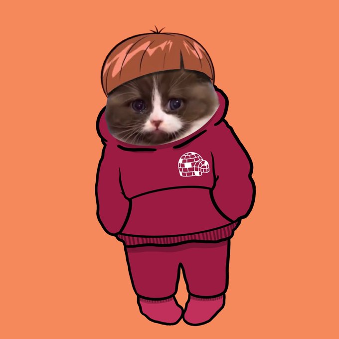 A cartoon illustration of a figure in a red tracksuit and brown bowl-cut wig with a realistic cat's face superimposed on an orange background.