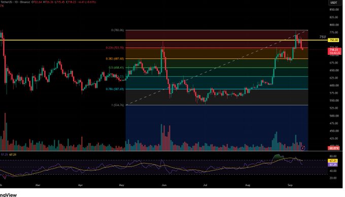 A daily candlestick chart of BNB/USDT on Binance shows the price rallying sharply from ~$590 in July to a recent high near $750, currently trading at $715.05 (+1.01%), with Fibonacci retracement levels drawn from the swing low to high and an RSI reading of 67.23 in the lower panel—visually supporting the post's claim of strong BNB fundamentals and sustained bullish momentum.