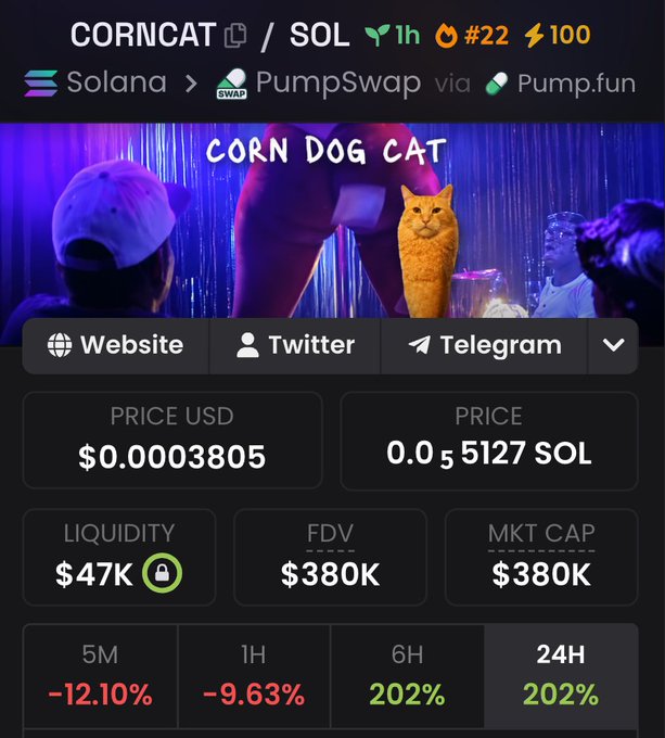 This image displays information about the cryptocurrency "CORN DOG CAT" on the Solana network, showing its price, liquidity, and market cap. The accompanying post mentions that the user is rotating their investment back to Solana and specifically to $CORNCAT, which is listed on PumpSwap.