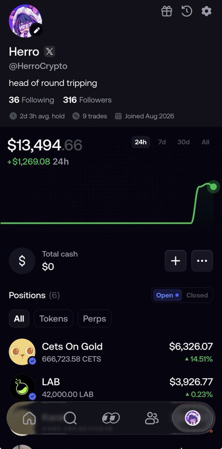 A profile for user Herro (@HerroCrypto) with bio 'head of round tripping' showing a portfolio value of $13,494.66 (up $1,269.08 in 24h) with positions including Cets On Gold ($6,326.07, +14.51%) and LAB ($3,926.77).